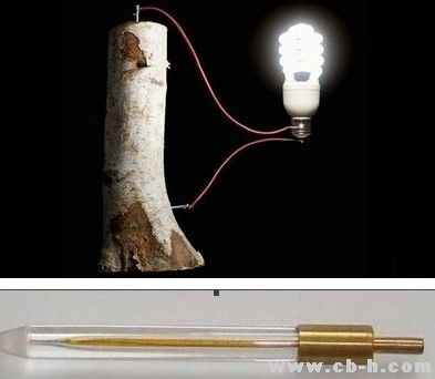 木質(zhì)素是由聚合的芳香醇構成的一類物質(zhì)，存在于木質(zhì)組織中，主要作用是通過形成交織網(wǎng)來硬化細胞壁。吳榮照說，這種物質(zhì)作為造紙過程中所產(chǎn)生的廢料，一直不為人所注意。