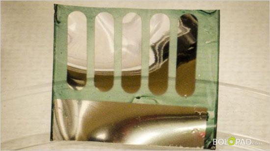 太陽能植物電池：有可能是最環(huán)保的電池