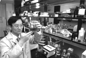 生產(chǎn)氫氣的新方法將幫助全球擺脫對(duì)化石燃料的依賴。