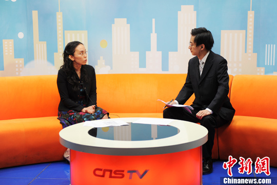 時(shí)璟麗:個(gè)人光伏電站經(jīng)濟(jì)性受限短期不應(yīng)重點(diǎn)扶持