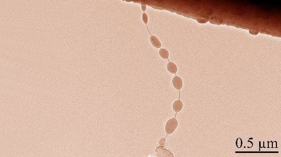 手機(jī)續(xù)航太爛？太陽(yáng)能電池或成最佳方案